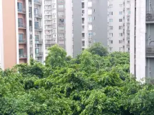 中冶城邦国际 2室1厅 东南