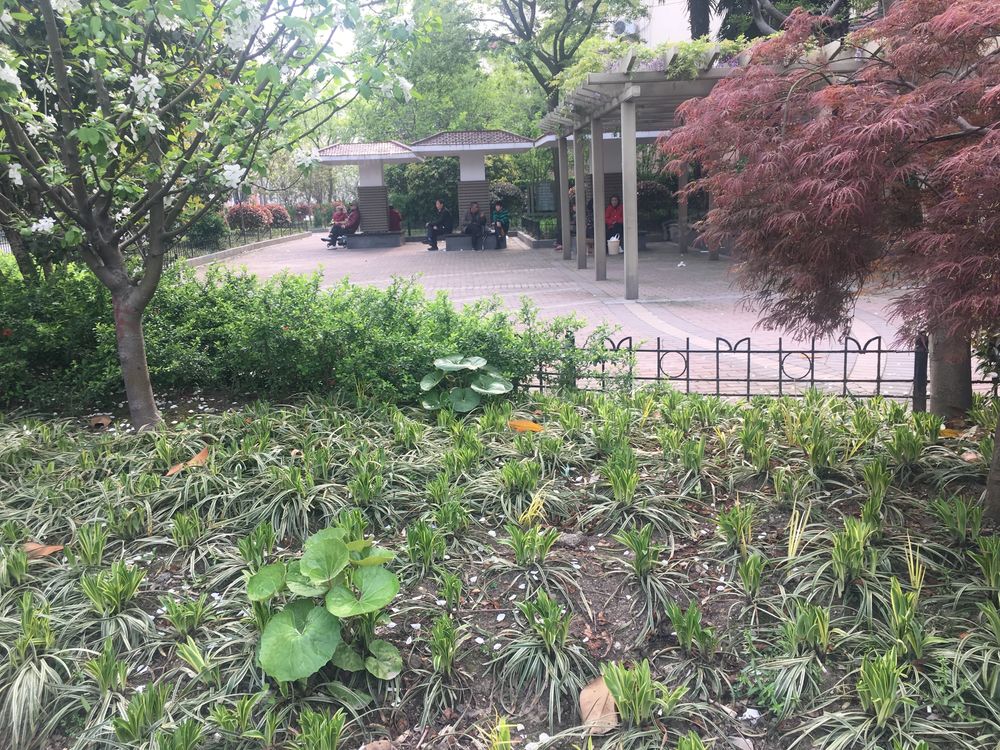 小区相关图