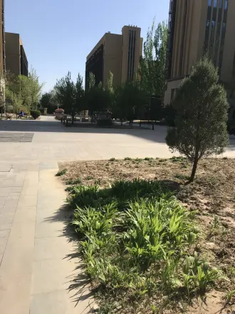 中建玲珑山实景图