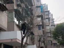 大华·怡华苑·3室·3厅