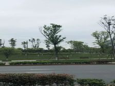 两江国际1室1厅东西