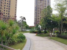 房子业主急售,高楼层,格局方正