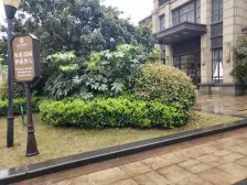 正荣学府壹号(正荣润园) 南北通透,采光好 视野好,诚心出售