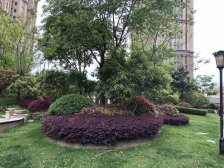 康桥溪岸顶复带70平大露台 四房两卫