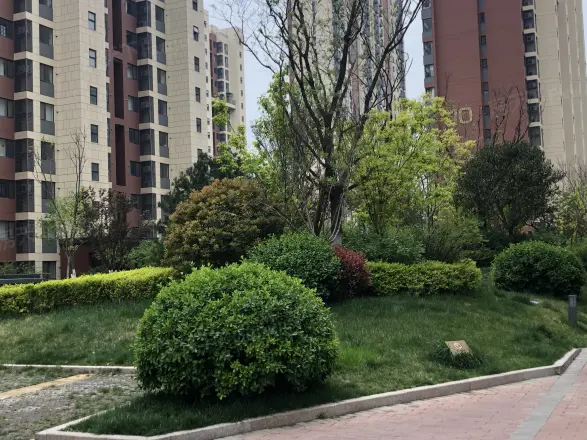 万科新里程实景图