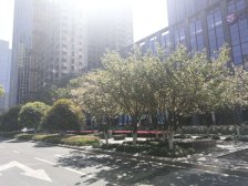 新城+星海,湖西CBD商圈,配套完善,房龄新