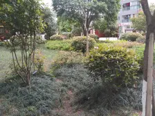 劳动路 国盛三千城一房65万