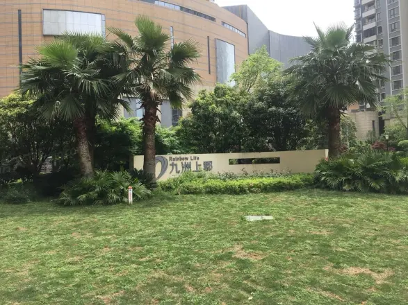 九洲上郡