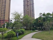 天诚朝南双面通透三房自住标准装修高楼层采光好