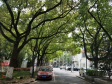 “店长推荐”1号线地铁口50米,彩香二区一梯两户诚售