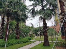 天诚时代,大两房 装修保养新,看房方便