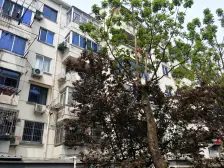 彩香一村一区 一楼带院子开门 院子搭了两间 看房方便