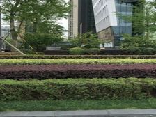 两江国际2室2厅南北