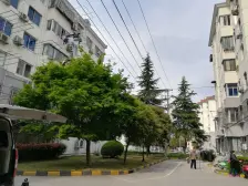 业主诚意出售此房,里面保养的很好,采光也很好