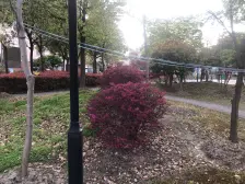 5房2厅2卫2衣帽间+南北双大露台,地铁1公里,近商场