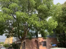 此房一室户,全明户型,采光好,户型通透,精装修