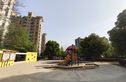 玫瑰久久实景图