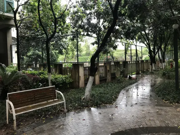 城市今典实景图