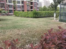 浦江万达旁 南北通两房 凤凰楼层 看房随时