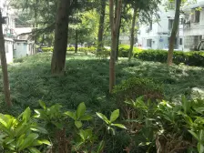 甘泉宜川·新长小区·1室·0厅