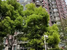 万里·万里真金苑·4室·1厅