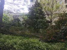 南京西路 大一房 诚意出售 价格可谈 各付各税