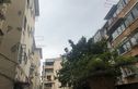 曹杨四村实景图