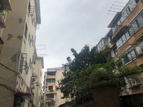 曹杨四村实景图