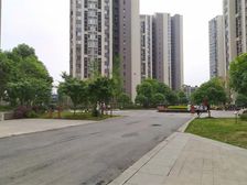 临江苑西区1室1厅东南