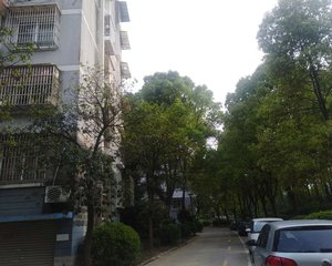 锦江年华4室2厅南