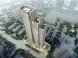 中一鲲出怎么样 中一鲲出地址