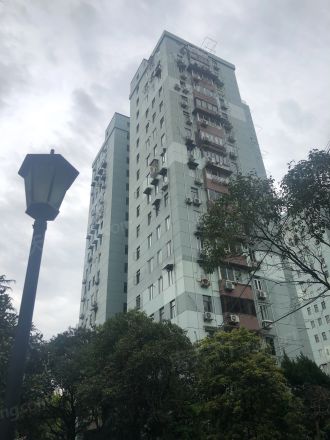 桂巷新村实景图