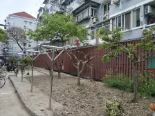 海滨五村1室南朝向138.00万元/套出售