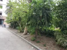 海滨三村2室南朝向130.00万元/套出售