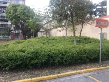 业主自住精装修房,有电梯,业主诚心出售,可以随时来