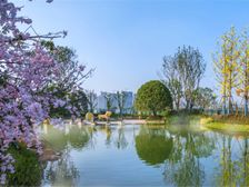 宁乡恒大御景半岛2室2厅南北