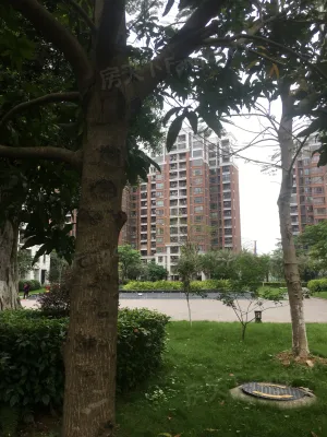 广州阳华国花苑小区 二手房 租房 广州房天下