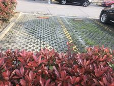 电梯房,新式里弄,大开间,景观房