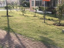 南北通电梯三房,沿河景观,采光好