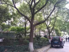 东南朝向无遮挡,近虹桥路地铁站,看房随时约