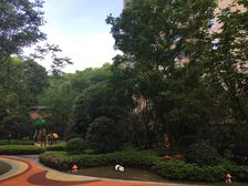 蓝光雍锦阁1室1厅北