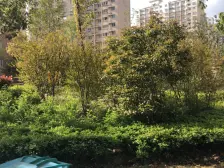 独立电梯,电梯房,大开间,南北通透,品质小区,近商圈,精装修,诚意出售