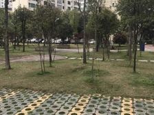 雁能领秀天地南北小高层四房,业主诚心出售看房方便