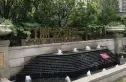 九洲跃进路1958实景图