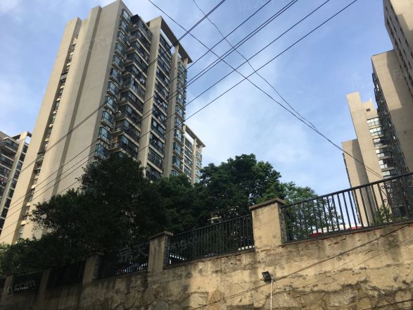 西湖丽景实景图