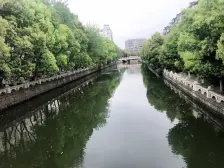 新上大两房,非顶楼户型,好采光充足有钥匙随时可看!