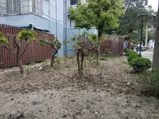 海滨五村1室1厅1卫南朝向130.00万元/套出售