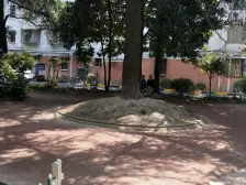 子长小区 1室1厅 南