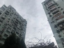 楼层好丨诚意卖丨位置安静丨书抱可用丨南北通透丨贰钟必看