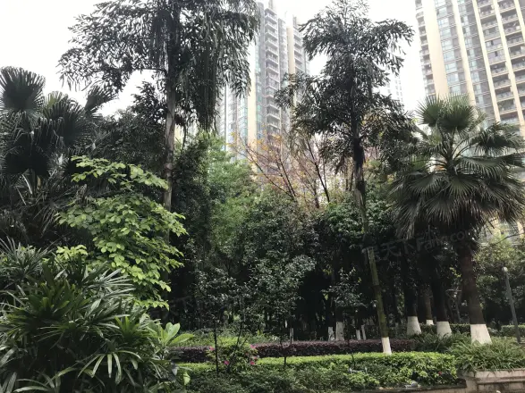 城市今典实景图